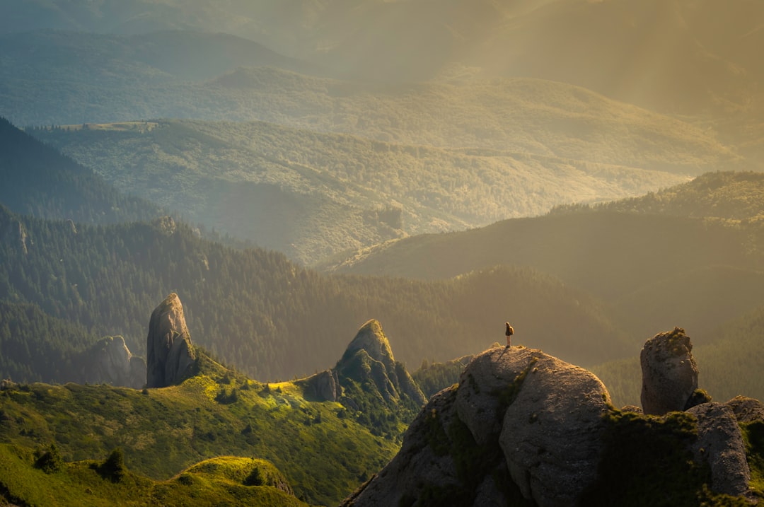 The Rise of Eco-Friendly Travel: Journeying with a Conscience
